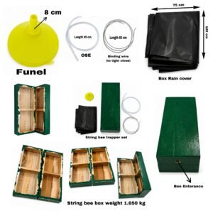 Stringless Bee Box – Full Trap Set